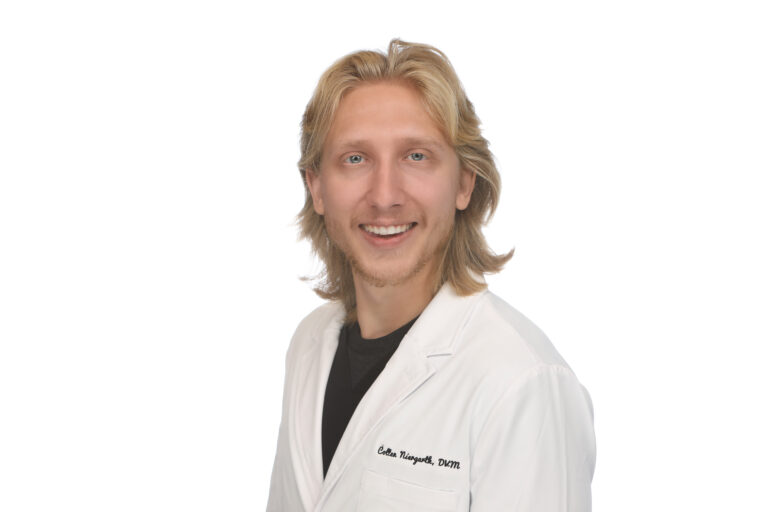 Dr. Niergarth, DVM at Tempe Lake Veterinary Clinic